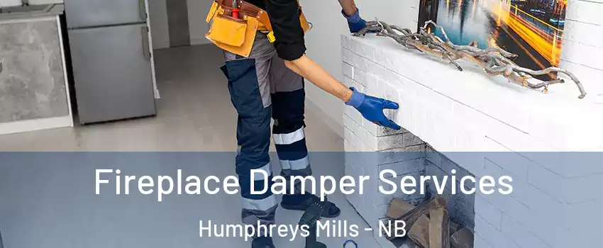 Fireplace Damper Services Humphreys Mills - NB