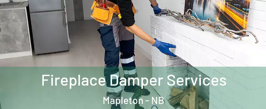  Fireplace Damper Services Mapleton - NB