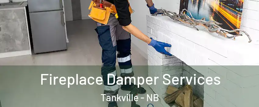 Fireplace Damper Services Tankville - NB