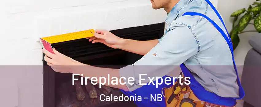  Fireplace Experts Caledonia - NB