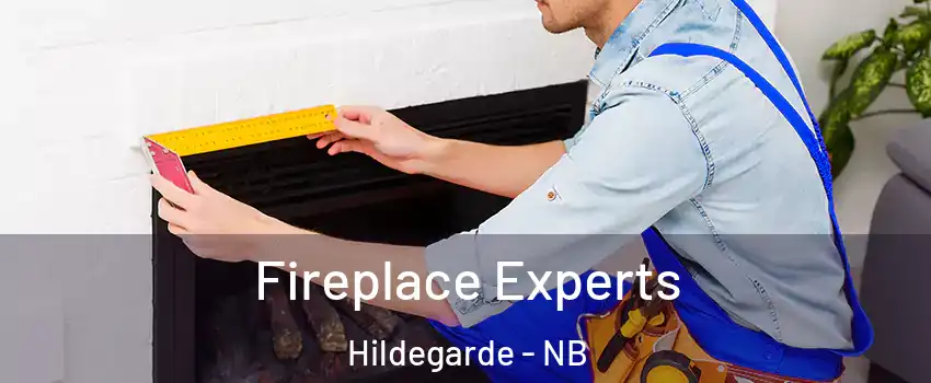  Fireplace Experts Hildegarde - NB
