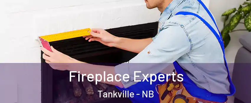  Fireplace Experts Tankville - NB