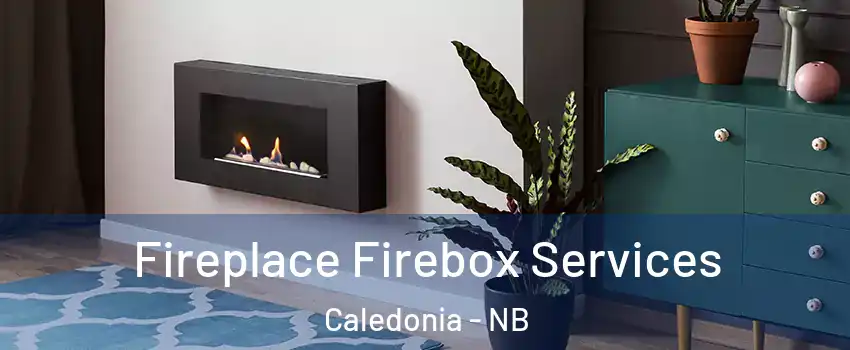  Fireplace Firebox Services Caledonia - NB
