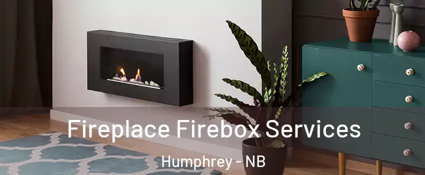  Fireplace Firebox Services Humphrey - NB