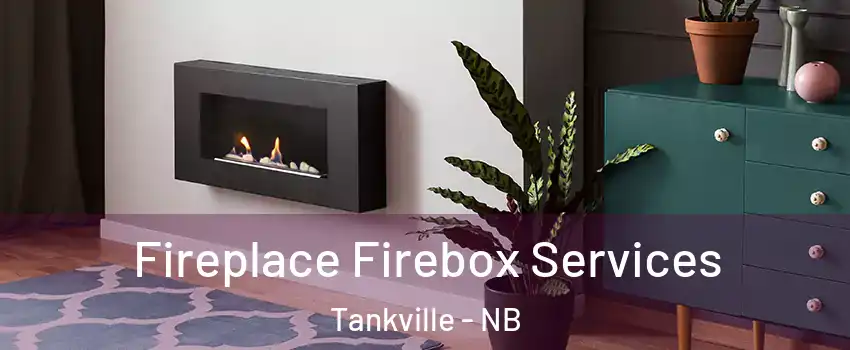  Fireplace Firebox Services Tankville - NB