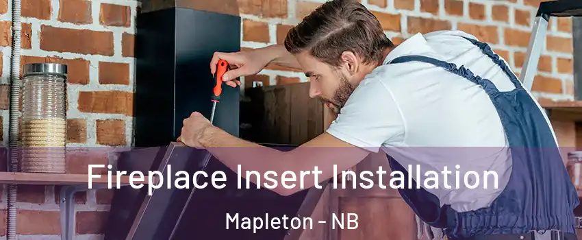  Fireplace Insert Installation Mapleton - NB