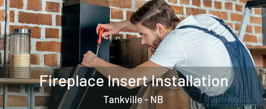  Fireplace Insert Installation Tankville - NB