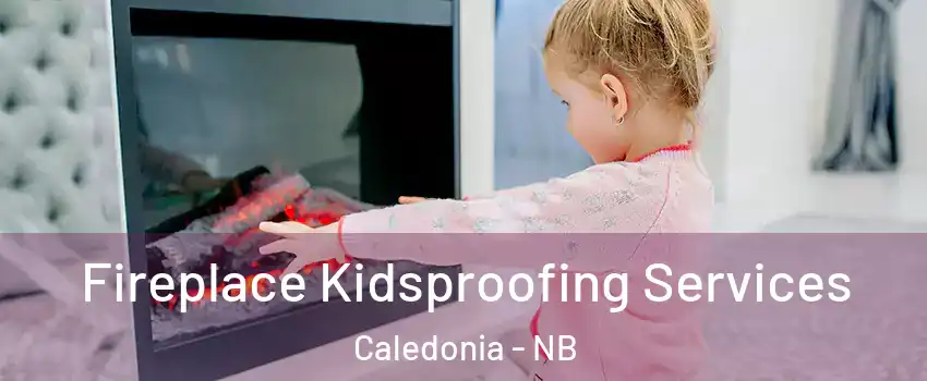 Fireplace Kidsproofing Services Caledonia - NB