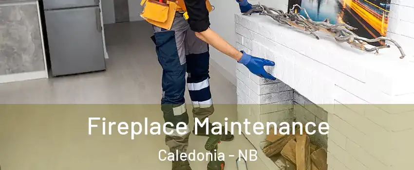  Fireplace Maintenance Caledonia - NB