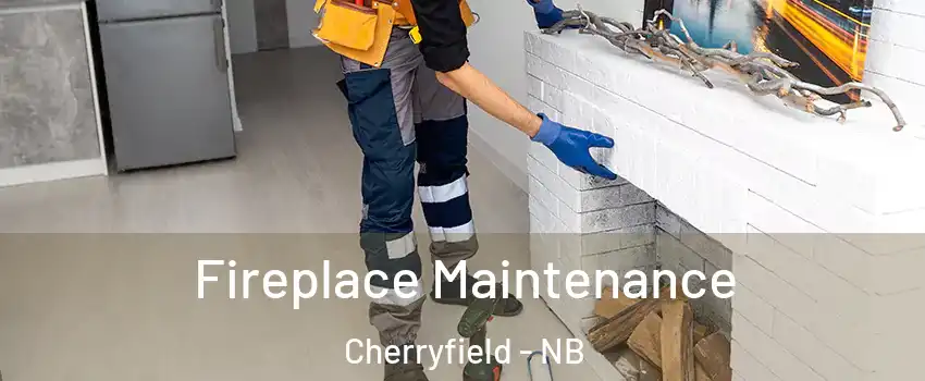  Fireplace Maintenance Cherryfield - NB