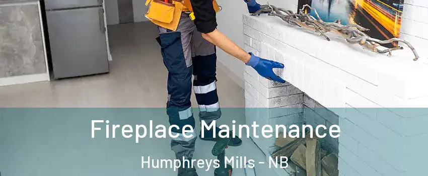  Fireplace Maintenance Humphreys Mills - NB