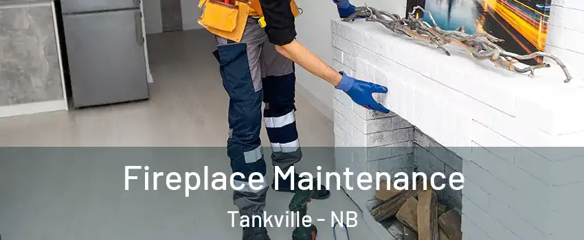  Fireplace Maintenance Tankville - NB