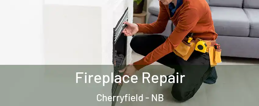  Fireplace Repair Cherryfield - NB
