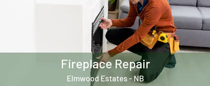  Fireplace Repair Elmwood Estates - NB