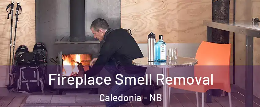  Fireplace Smell Removal Caledonia - NB