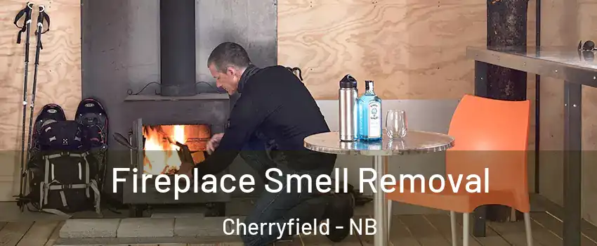  Fireplace Smell Removal Cherryfield - NB
