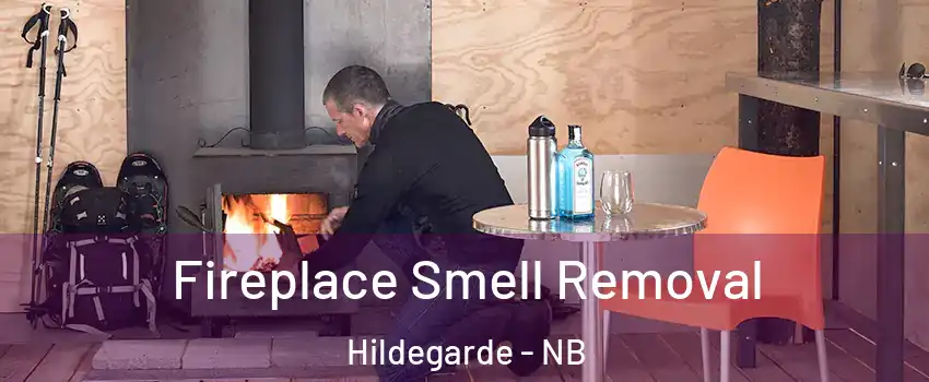  Fireplace Smell Removal Hildegarde - NB