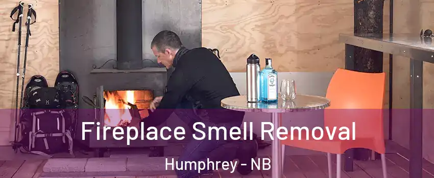  Fireplace Smell Removal Humphrey - NB