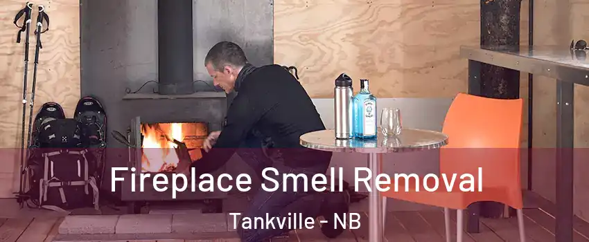  Fireplace Smell Removal Tankville - NB