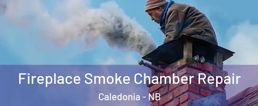  Fireplace Smoke Chamber Repair Caledonia - NB