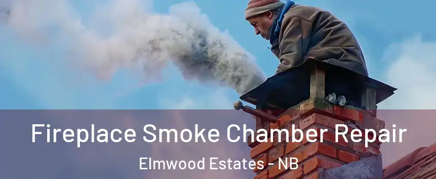 Fireplace Smoke Chamber Repair Elmwood Estates - NB