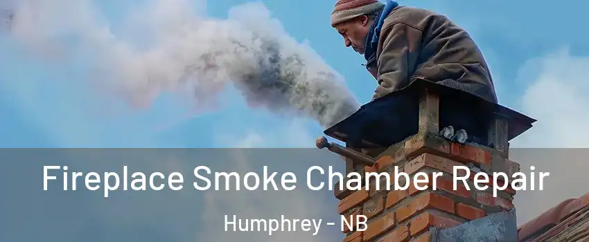  Fireplace Smoke Chamber Repair Humphrey - NB