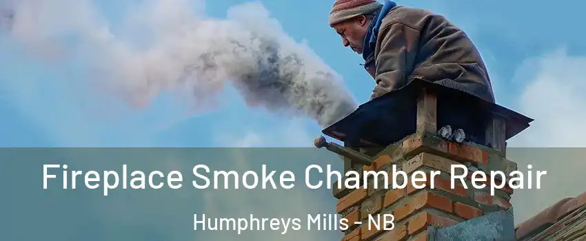  Fireplace Smoke Chamber Repair Humphreys Mills - NB