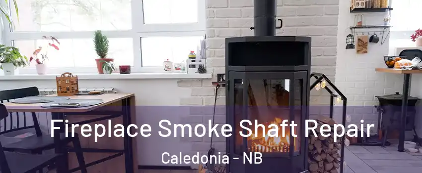  Fireplace Smoke Shaft Repair Caledonia - NB