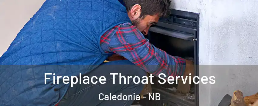  Fireplace Throat Services Caledonia - NB