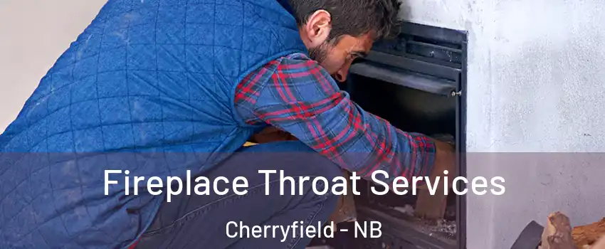  Fireplace Throat Services Cherryfield - NB