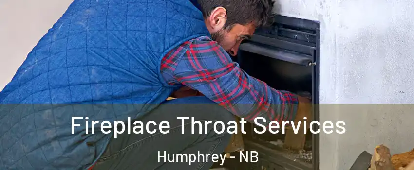  Fireplace Throat Services Humphrey - NB