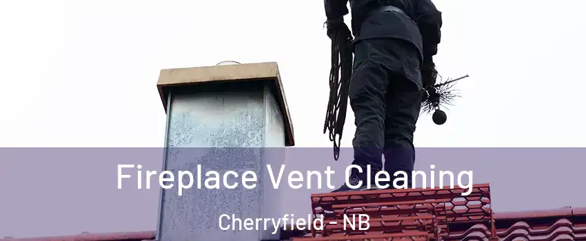  Fireplace Vent Cleaning Cherryfield - NB