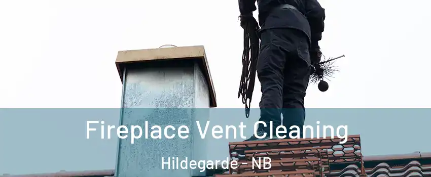  Fireplace Vent Cleaning Hildegarde - NB