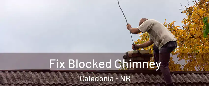  Fix Blocked Chimney Caledonia - NB