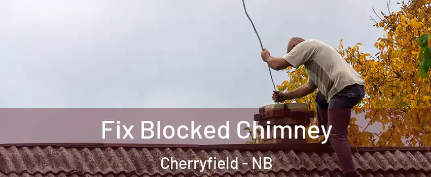  Fix Blocked Chimney Cherryfield - NB