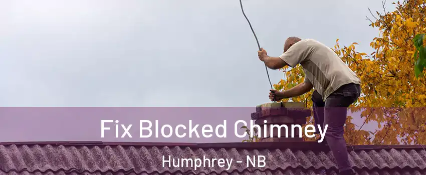  Fix Blocked Chimney Humphrey - NB