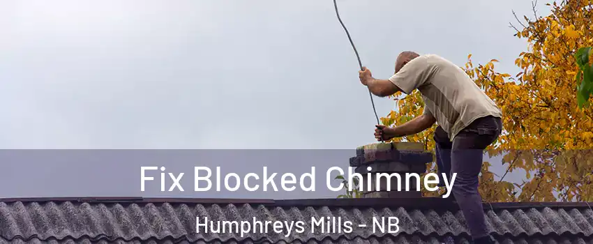  Fix Blocked Chimney Humphreys Mills - NB