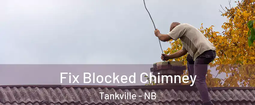 Fix Blocked Chimney Tankville - NB