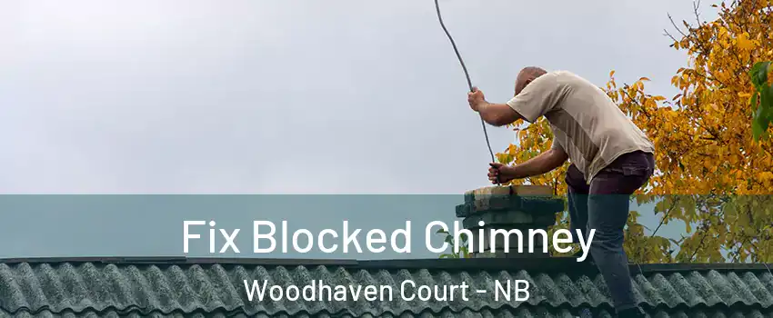  Fix Blocked Chimney Woodhaven Court - NB