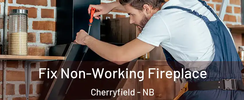  Fix Non-Working Fireplace Cherryfield - NB