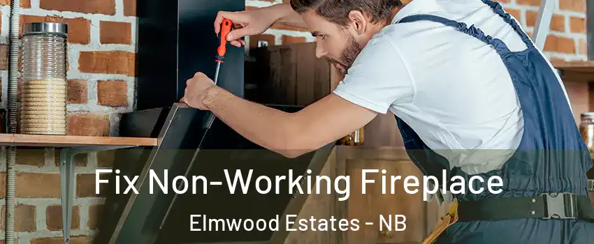  Fix Non-Working Fireplace Elmwood Estates - NB