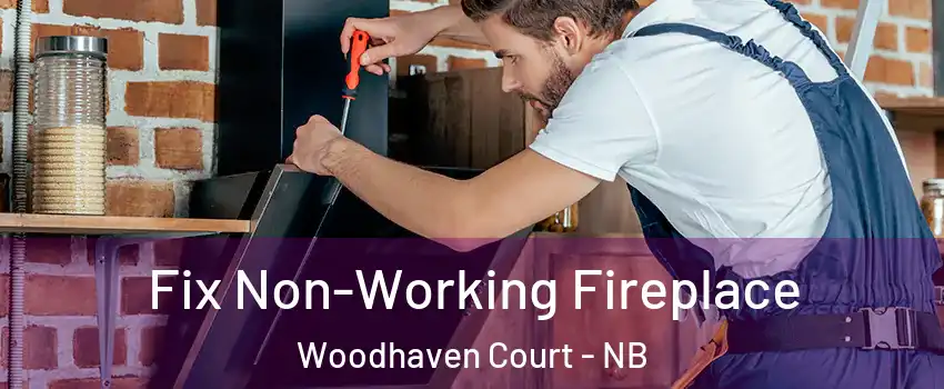  Fix Non-Working Fireplace Woodhaven Court - NB