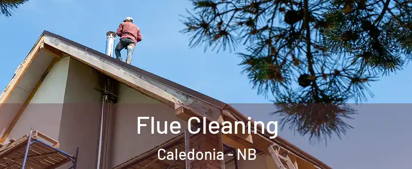  Flue Cleaning Caledonia - NB