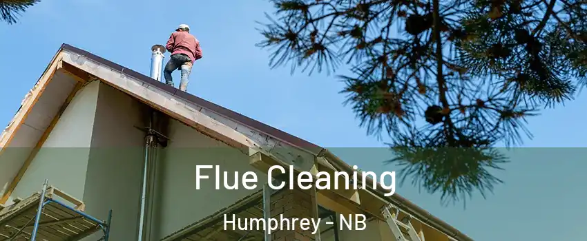  Flue Cleaning Humphrey - NB