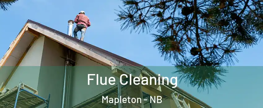  Flue Cleaning Mapleton - NB