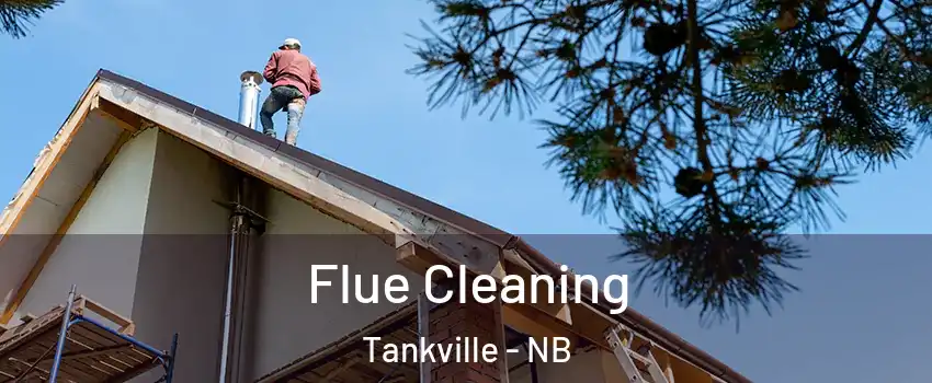 Flue Cleaning Tankville - NB