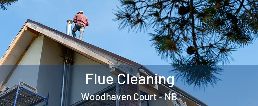  Flue Cleaning Woodhaven Court - NB