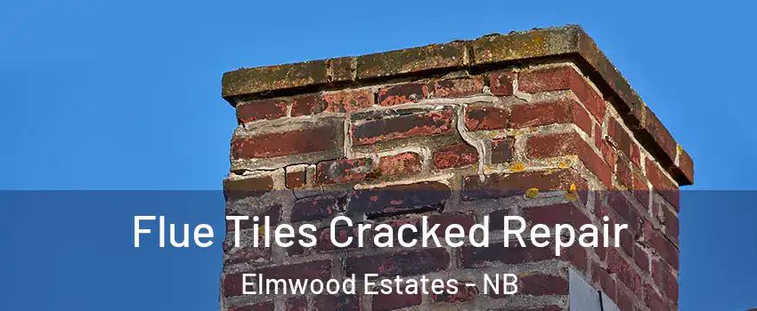  Flue Tiles Cracked Repair Elmwood Estates - NB