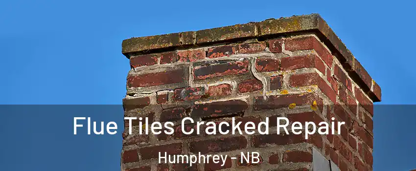  Flue Tiles Cracked Repair Humphrey - NB