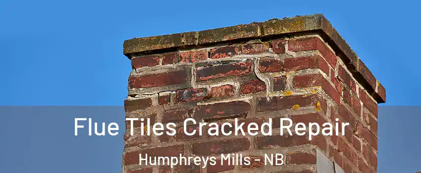  Flue Tiles Cracked Repair Humphreys Mills - NB
